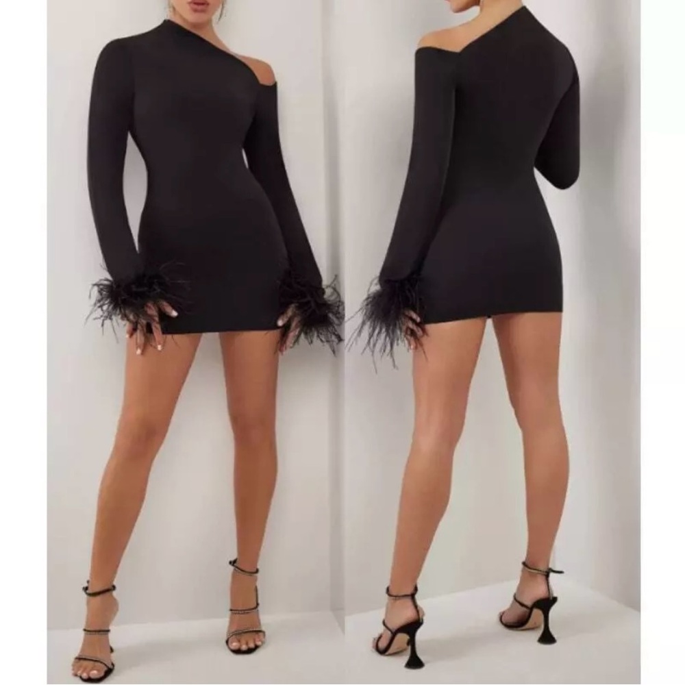 Heiress Asymmetric Feather Trimmed Crepe Long Sleeve Mini Dress